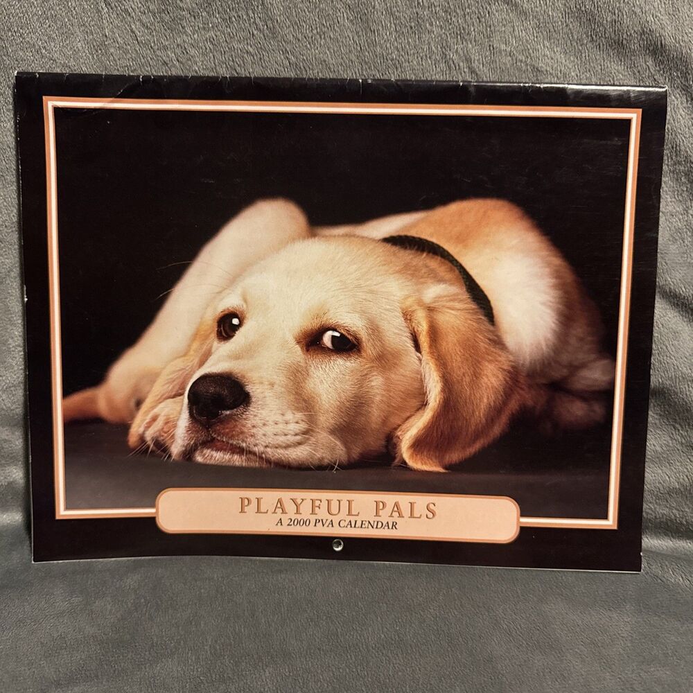 Vintage 2000 Eastern Paralyzed Veterans Association Playful Pals Calendar